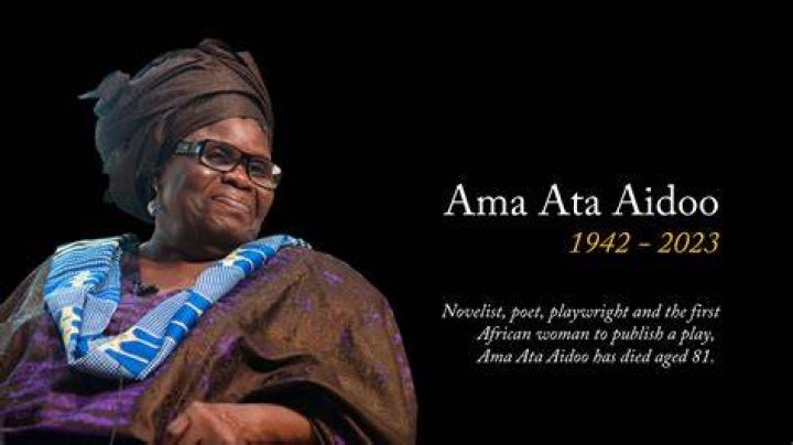 
Ama Ata Aidoo | Death Cause, Children And Husband 