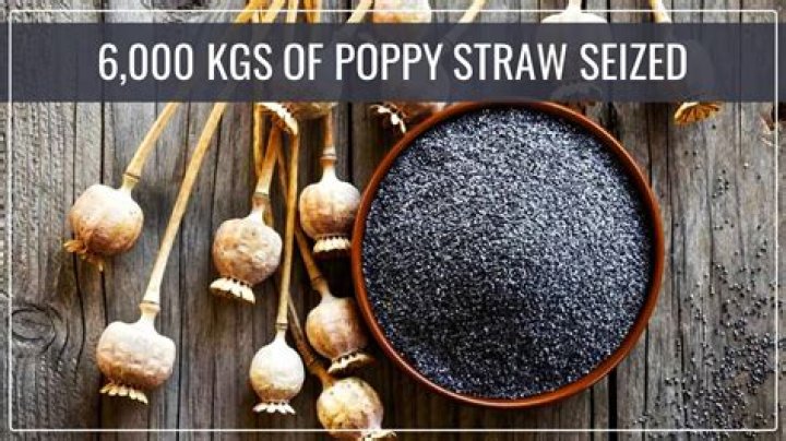 
Over 1,000 kg poppy straw seized in MP 
