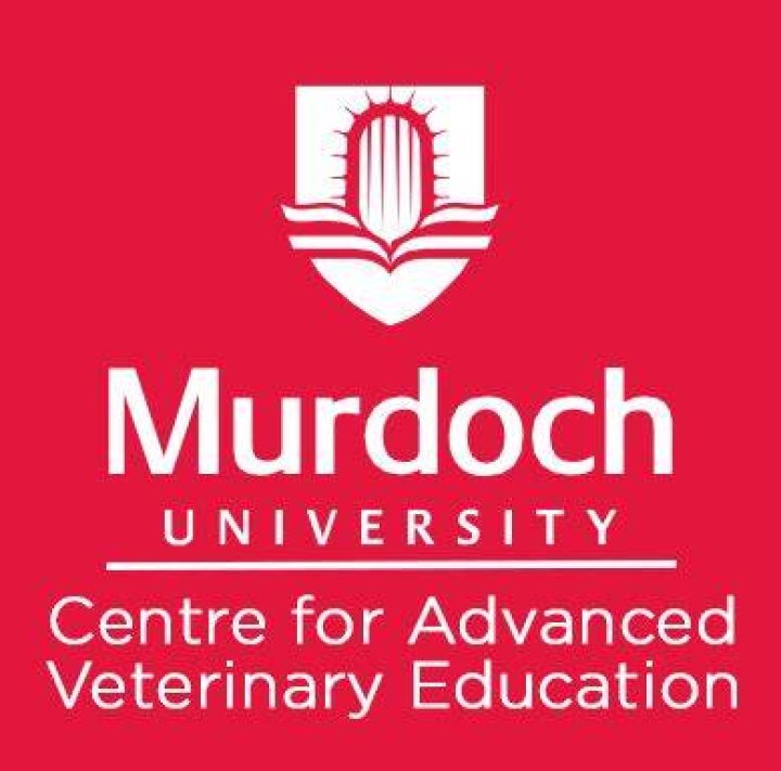 Sierra Oakley Completed Her Education From Vet School Murdoch University
